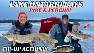 Ice Fishing Pike & Perch on Lake Ontario Bays - Tip-Up Tips & Tricks for the Best Success Rate!!!