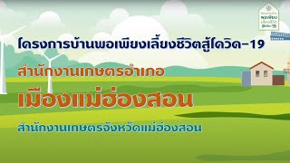 โครงการบ้านพอเพียงเลี้ยงชีวิตสู้โควิด-19 สำนักงานเกษตรอำเภอเมืองแม่ฮ่องสอน