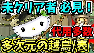 【簡単クリア】多次元の越鳥！アルジェキティ編成！代用・立ち回り解説！【パズドラ】