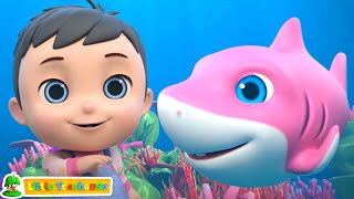 Baby Shark - Best Dance Song for Kids + More Nursery Rhymes & Baby Songs