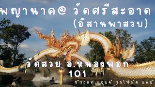 พญานาค วัดศรีสะอาด อำเภอ หนองพอก ร้อยเอ็ด | ข้าวแฟ แอนด์ รถโฟล์ค แฟมิลี่ #พญานาค #อีสานพาสวบ