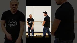 Wing Chun - Power of using circles on your train