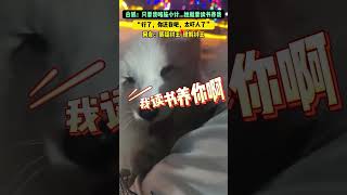 抱著這麼可愛的白狐，誰能不迷糊啊。網友：看吧，還沒咋出招呢，都把讀書人迷暈了