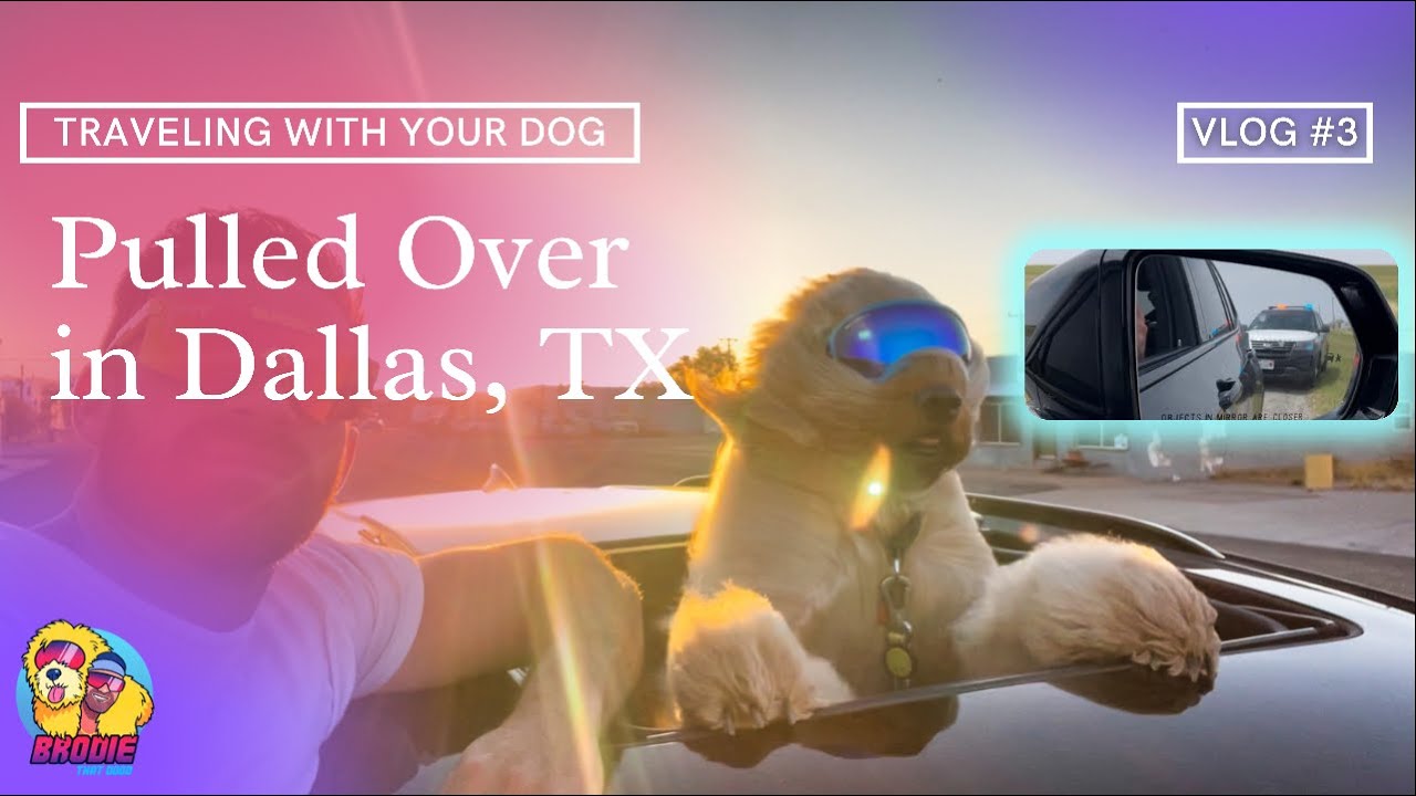 TRAVELING WITH YOUR DOG | Pulled over in Texas | Dog Vlog #3 |
