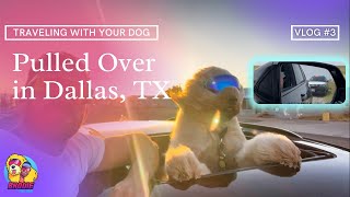 TRAVELING WITH YOUR DOG | Pulled over in Texas | Dog Vlog #3 |
