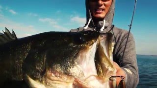 Bass Fishing HARDCORE X - in Lake Biwa(737)