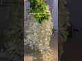 elevate your decor with this beautiful wisteria brideinspo flowerbackdrop wisteria unbox follow