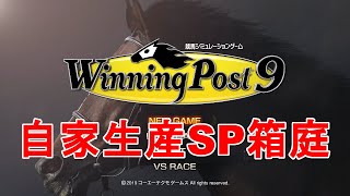 【第13回】自家生産馬で作るSP箱庭 ～大逃げリベンジなるか～【ウイニングポスト9】