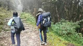 sundarijal - gosaikunda trek day 3 (kutumsang to thatepati)