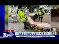 疑跟男友爭吵 女穿短褲喝2瓶高粱醉倒失溫｜tvbs新聞 @tvbsnews01