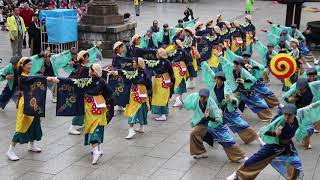 第14回かわさき楽大師まつり厄除よさこい。川崎大師平間寺大本堂前奉納演舞。和賞、なるたか。