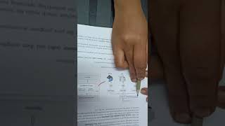 Class 9 computer applications- understanding bytecode and Java compilation