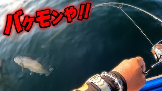 モンスターイワナを狙って釣る方法【レイクジギング】