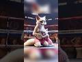 Boxing”Female Fox🆚Hedgehog “ #cat #animals #funny #dog #cartoon #cute #boxingcat #boxing #fighting