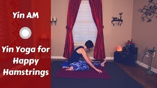 Yin AM: Yin Yoga for Deep Hamstring & Hips Stretch for Flexibility {40 mins}