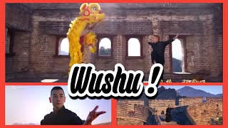 Chinese Martial Arts : Wushu #martialarts  #Wushu #KungFu