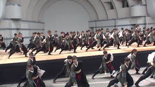 原宿スーパーよさこい２０１９「踊り侍」