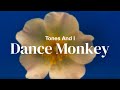 Tones and I - Dance Monkey | Lyrics