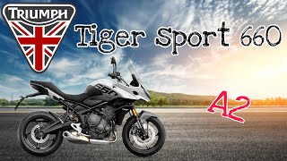 Triumph Tiger sport 660 A2