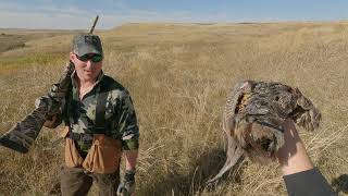 3 Man Pheasant Limit - Montana Pheasant Opening Weekend 2021 pt 1