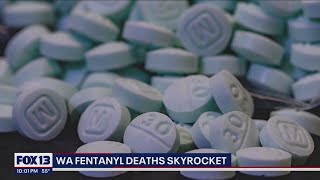 Fentanyl deaths in King County skyrocket | FOX 13 Seattle