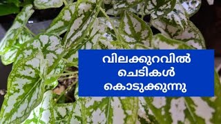 ##വിലക്കുറവ്  വിലക്കുറവ് വിളിക്കു 9656961799 എന്ന നമ്പറിൽ ##