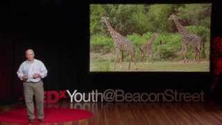 Saving animals, saving the future | John Linehan | TEDxYouth@BeaconStreet