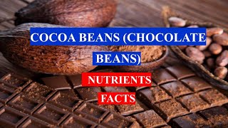 COCOA BEANS ( CHOCOLATE BEANS ) - Spice - HEALTH BENEFITS AND NUTRIENTS FACTS