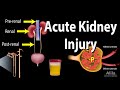 Acute Kidney Injury, a.k.a. Acute Renal Failure, Animation