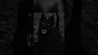 Skinwalker disguised as animals #pt_116k#scary#viral#viralshorts