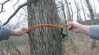 Tree Hugger System Setup
