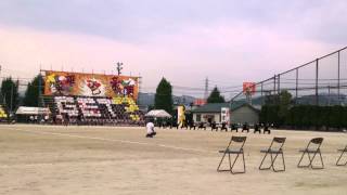 平成25年度（2013）嘉穂東高校　体育祭　応援合戦　黄ブロック