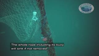 Freeing a permanent Anchor rope from abandoned fishing net