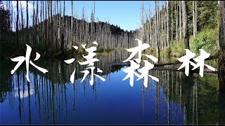 水漾森林｜Amazing鐵腿登山隊｜2天1夜｜野營重裝自己背