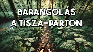 Barangolás a Tisza-parton