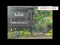 マダムランチ会　茶屋草木万里野