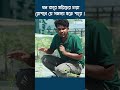 ঘন করে মরিচের চারা লাগালে যে সমস্যা হতে পারে