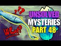 Disturbing UNSOLVED MYSTERIES That Will Challenge Your Reality