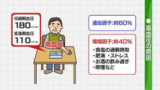 【高血圧】正しく理解しよう「高血圧」① 高血圧の原因と早期発見の重要性について考える