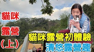 家庭露營 貓咪露營初體驗 清悠露營趣(上) 台中 新社  汽車露營 神堂光