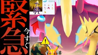 【ワイルドエリア・速報】早朝からサプライズ！？今すぐ〇〇チャンス！！あの仕様は絶対に気をつけて・・！【ポケモンGO・ガラル三鳥・サファリボール・キョダイストリンダー・Pokémon GO】