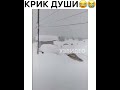 Сила и Мощь Камчатки