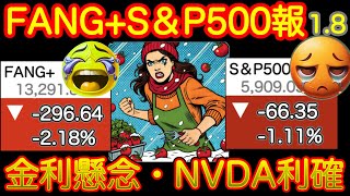 【初売り】エヌビディア事実売り、利確で大きく下落😭週末の雇用統計にびびる。年初来指数ダービー始まってます！M7はリードを守れるか？【米国株投信速報、新NISAやるぞ！FANG+S\u0026P500=❤️】