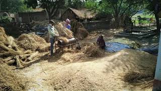 मशीन से धान की पिटाई कैसे करें