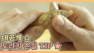 도라지 손질 TIP 대공개 ☆ MBN 200918 방송