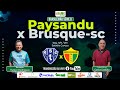 PAYSANDU 1 X 0 BRUSQUE-SC  | AO VIVO | 36º RODADA | BRASILEIRÃO SÉRIE B | 11.11.2024