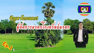 🎯ผู้จัดการมรดกโกงทรัพย์มรดกทายาทดำเนินการอย่างไรได้บ้าง?