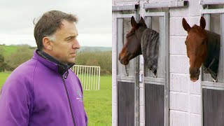 Henry de Bromhead | Secrets to Cheltenham and Grand National success