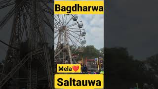 Bagdharwa mela in saltauwa Basti bhari mela #viral #viralshorts #like #pathansong