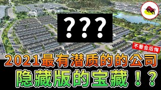 【马股分析】基本面严重被低估的公司？！2020年的酝酿，2021年是时候展示真正的实力了！[English CC]